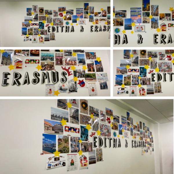 erasmus_26_collage.png